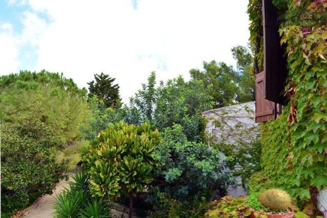 Eurialo Green Suites Belvedere  Buitenkant foto